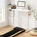 Adjustable Electric Standing Desk with Memory Settings and Cable Management