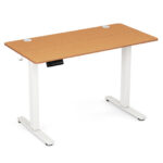 Adjustable Electric Standing Desk with Memory Settings and Cable Management