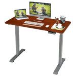 Adjustable Electric Standing Desk with Memory and Spacious Tabletop