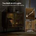 Adolf Walnut Modern Farmhouse LED Accent Cabinet
