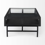 Arelius 42"L Rectangular Glass-Top Black-Brown Wood w/ Black Metal Base Display Coffee Table