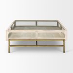 Arelius 42L x 42W x 15H White Wood W/ Gold Metal Base Square Display Coffee Table