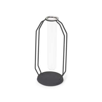 Aria 4.3L x 3.9W x 9.6H Metal and Glass Decorative Accent