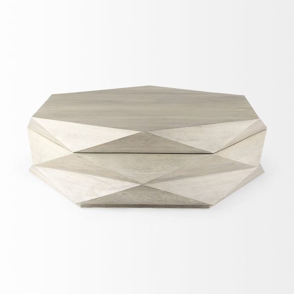 Arreto Natural Solid Wood Hexagonal Storage Coffee Table 3