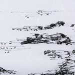 Arriving II by Mercana Studio a Hand Embelished Textured Framed Art Print Matted under Glass