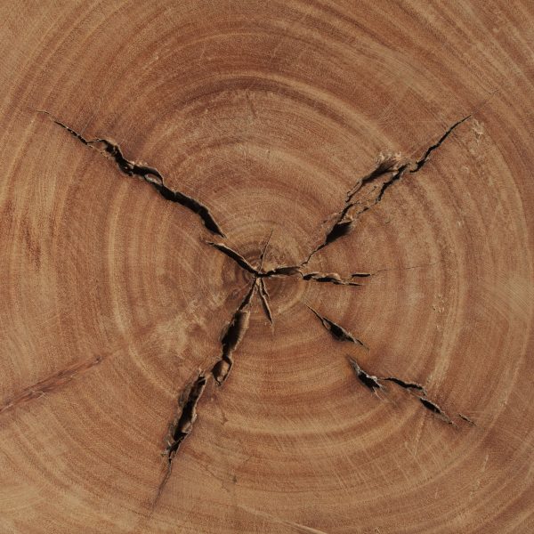 Asco 18H Rustic Solid Reclaimed Wood Stool 8