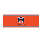 Auburn University Chrome Lamp 8 Auburn University Chrome Lamp