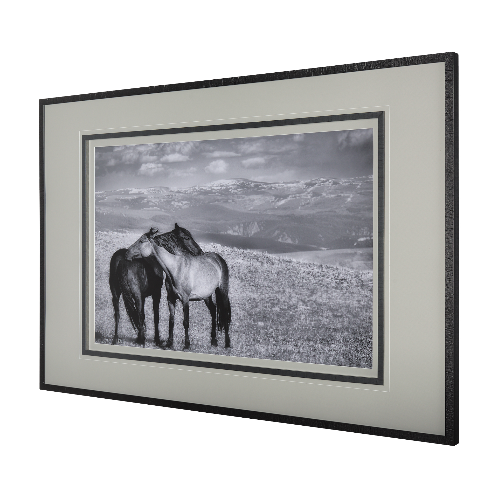 Babies on Board by Mercana Studio a Framed Art Print Matted under Glass 3 Babies on Board by Mercana Studio a Framed Art Print Matted under Glass - Image 3