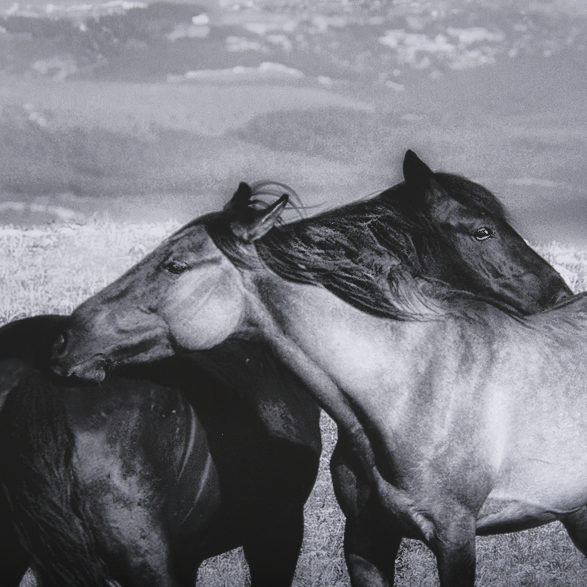 Babies on Board by Mercana Studio a Framed Art Print Matted under Glass 8 Babies on Board by Mercana Studio a Framed Art Print Matted under Glass - Image 8