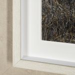 Bernie by Assaf Frank a Framed Art Print Matted under Glass