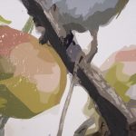 Birds & Apples I by Mercana Studio a Hand Embelished Textured Canvas 15 Birds & Apples I by Mercana Studio a Hand Embelished Textured Canvas