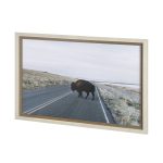 Bison Crossing by Chelsea Victoria a Hand Embelished Textured Framed Art Print Matted under Glass