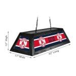 Boston Red Sox 42 Inch Billiard Lamp