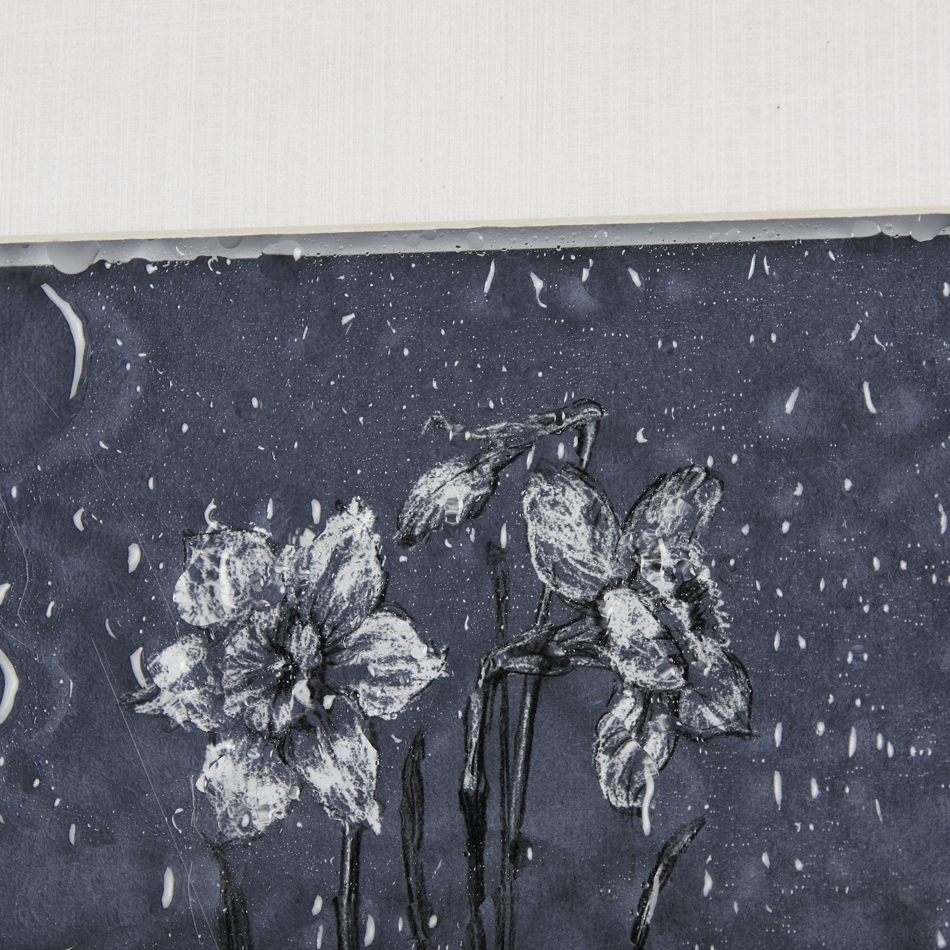 Botanical sketches II (Blue) by Mercana Studio Hand Embelished Framed Art Print Matted under Glass 6 Botanical sketches II (Blue) by Mercana Studio Hand Embelished Framed Art Print Matted under Glass - Image 6