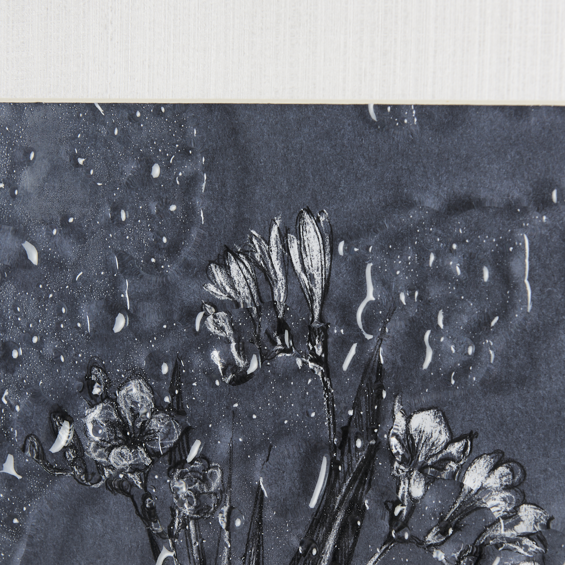 Botanical sketches III (Blue) by Mercana Studio Hand Embelished Framed Art Print Matted under Glass 6 Botanical sketches III (Blue) by Mercana Studio Hand Embelished Framed Art Print Matted under Glass - Image 6