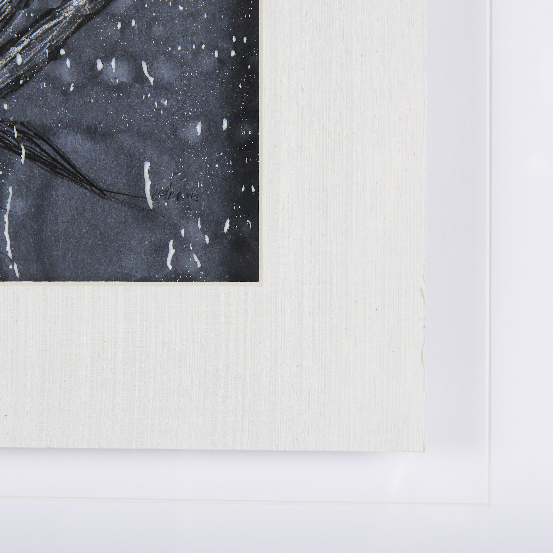 Botanical sketches IV (Blue) by Mercana Studio Hand Embelished Framed Art Print Matted under Glass 5 Botanical sketches IV (Blue) by Mercana Studio Hand Embelished Framed Art Print Matted under Glass - Image 5