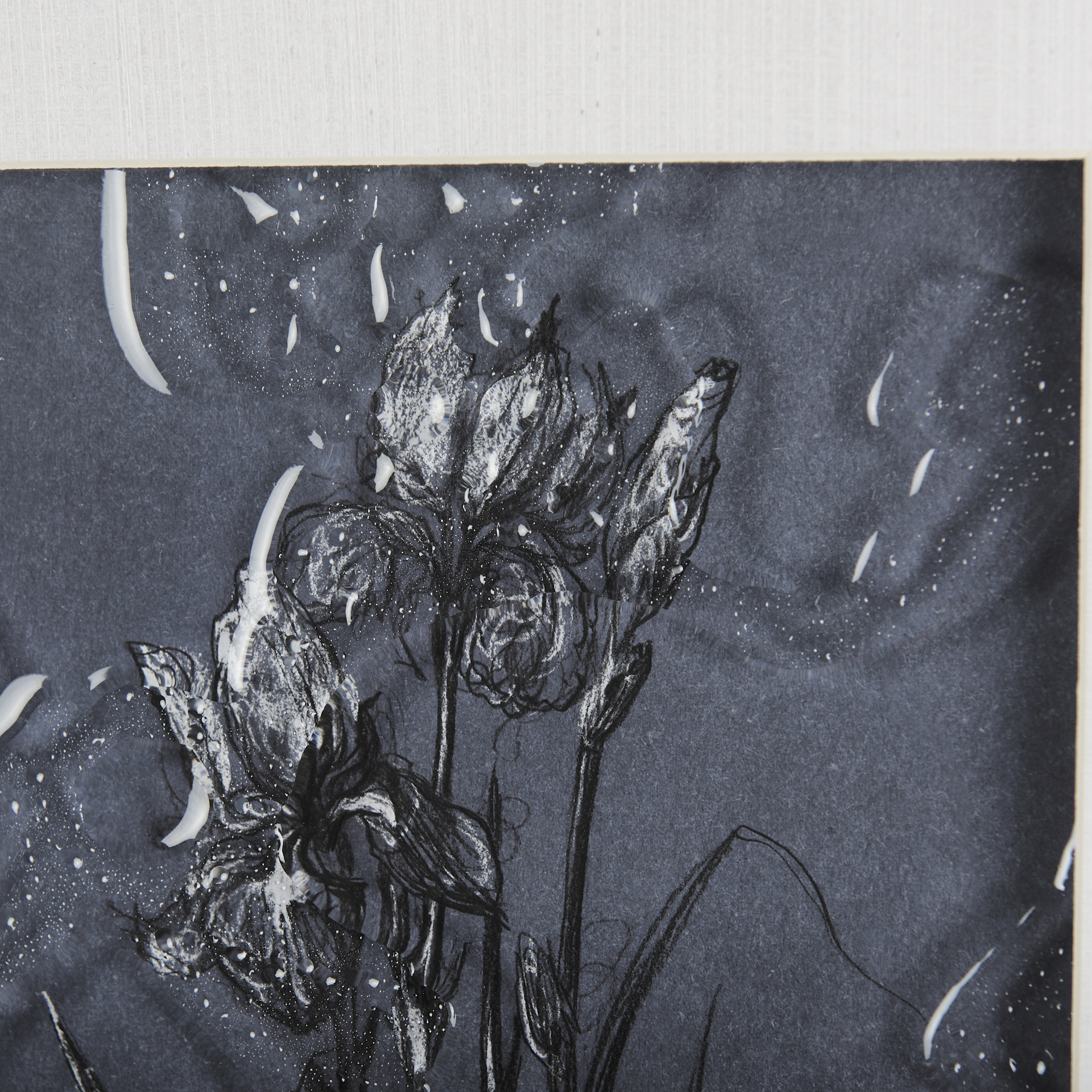 Botanical sketches IV (Blue) by Mercana Studio Hand Embelished Framed Art Print Matted under Glass 6 Botanical sketches IV (Blue) by Mercana Studio Hand Embelished Framed Art Print Matted under Glass - Image 6