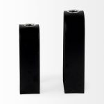 Boyer 5.1L x 3.0W x 12.0H Black Metal W/Glass Set of Two Test Tube Decorative Objects