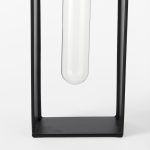 Boyer 5.1L x 3.0W x 12.0H Black Metal W/Glass Set of Two Test Tube Decorative Objects