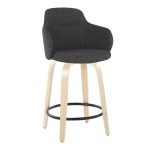 Boyne Dark Grey Contemporary 24-Inch Counter Stools (Set of 2)