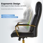 Bradford Black Vegan Leather Ergonomic Office Chair Airbag Lumbar Support 9 Bradford Black Vegan Leather Ergonomic Office Chair Airbag Lumbar Support
