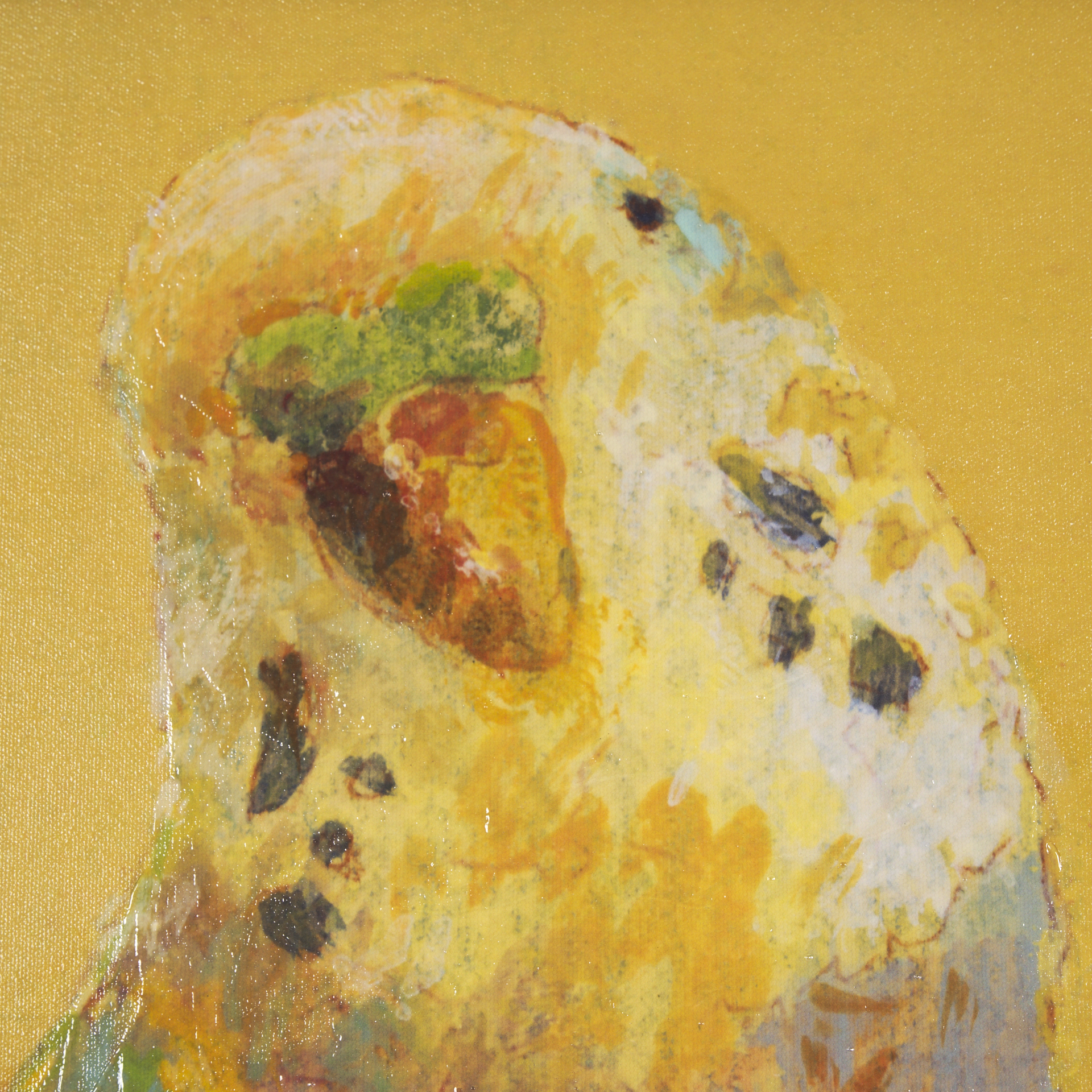 Bright Birds I by Roy Woodland a Hand Embelished Textured Framed Art Print 8 Bright Birds I by Roy Woodland a Hand Embelished Textured Framed Art Print - Image 8