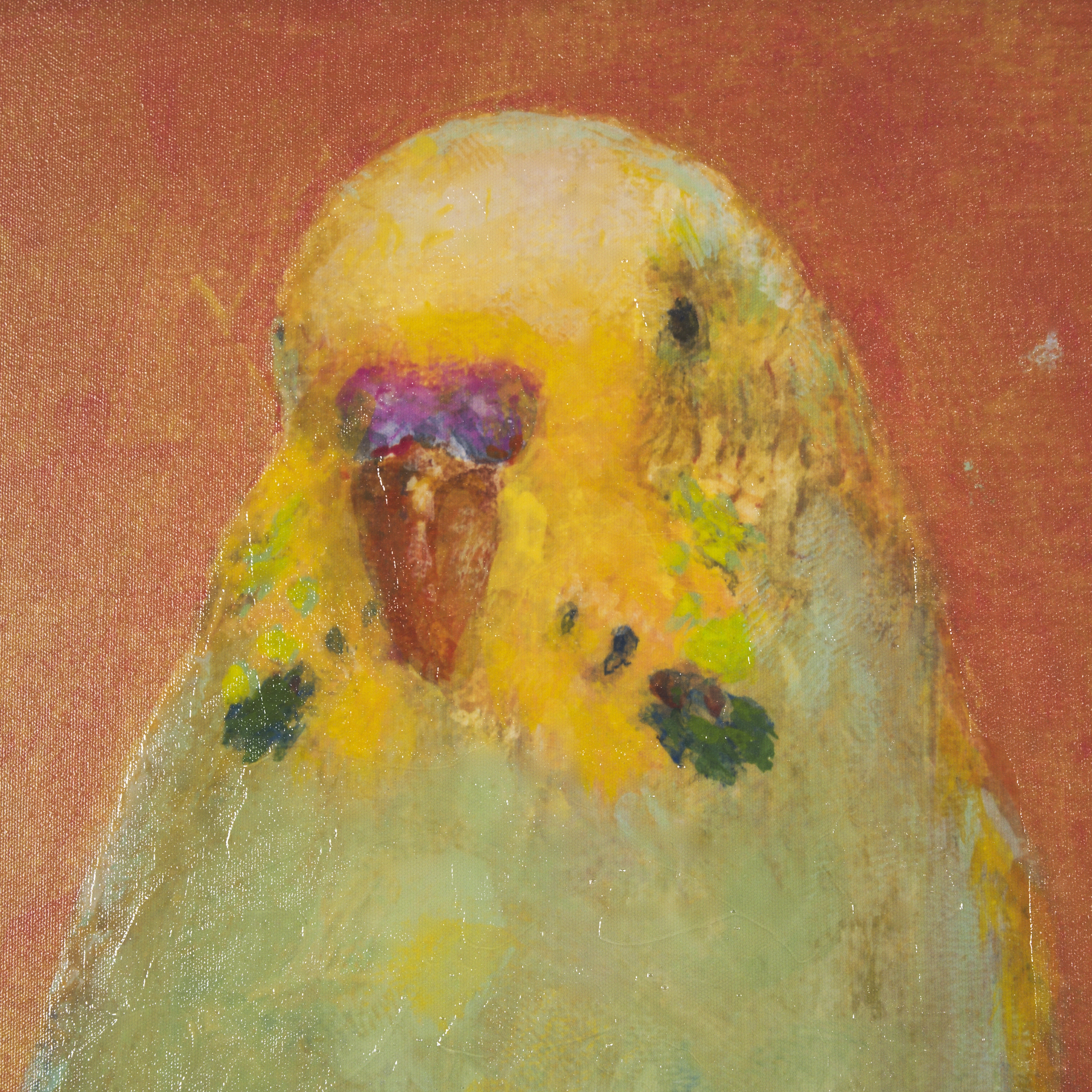 Bright Birds II by Roy Woodland a Hand Embelished Textured Framed Art Print 8 Bright Birds II by Roy Woodland a Hand Embelished Textured Framed Art Print - Image 8