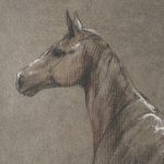 Buckskin Blanket by Mercana Studio a Hand Embelished Textured Framed Art Print