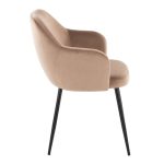Buena Black Metal Brown Velvet Contemporary Dining Chairs (Set of 2) 13 Buena Black Metal Brown Velvet Contemporary Dining Chairs (Set of 2)