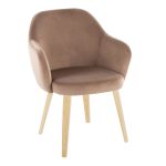 Buena Brown Velvet Contemporary Dining Chairs (Set of 2) 12 Buena Brown Velvet Contemporary Dining Chairs (Set of 2)