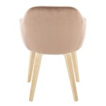 Buena Brown Velvet Contemporary Dining Chairs (Set of 2) 15 Buena Brown Velvet Contemporary Dining Chairs (Set of 2)