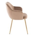Buena Brown Velvet Gold Contemporary Dining Chairs (Set of 2) 13 Buena Brown Velvet Gold Contemporary Dining Chairs (Set of 2)