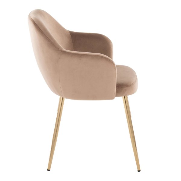 Buena Brown Velvet Gold Contemporary Dining Chairs Set of 2 3
