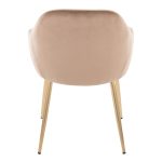 Buena Brown Velvet Gold Contemporary Dining Chairs (Set of 2) 15 Buena Brown Velvet Gold Contemporary Dining Chairs (Set of 2)