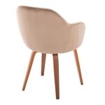 Buena Walnut Wood Brown Velvet Contemporary Dining Chairs (Set of 2) 14 Buena Walnut Wood Brown Velvet Contemporary Dining Chairs (Set of 2)
