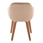 Buena Walnut Wood Brown Velvet Contemporary Dining Chairs (Set of 2) 15 Buena Walnut Wood Brown Velvet Contemporary Dining Chairs (Set of 2)