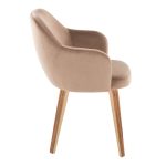 Buena Zebra Wood Brown Velvet Contemporary Dining Chairs (Set of 2) 13 Buena Zebra Wood Brown Velvet Contemporary Dining Chairs (Set of 2)