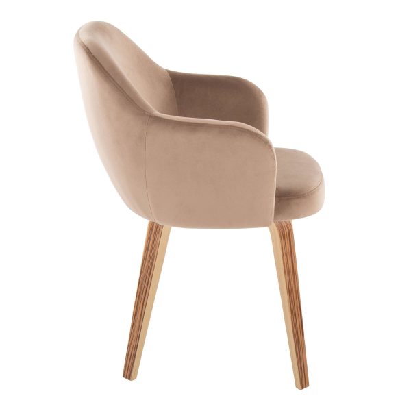 Buena Zebra Wood Brown Velvet Contemporary Dining Chairs Set of 2 3