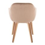 Buena Zebra Wood Brown Velvet Contemporary Dining Chairs (Set of 2) 15 Buena Zebra Wood Brown Velvet Contemporary Dining Chairs (Set of 2)