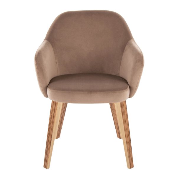 Buena Zebra Wood Brown Velvet Contemporary Dining Chairs Set of 2 6