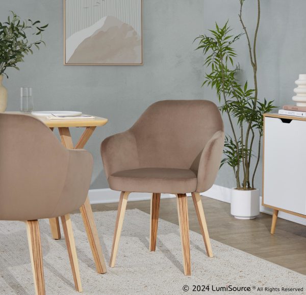 Buena Zebra Wood Brown Velvet Contemporary Dining Chairs Set of 2
