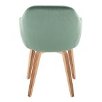 Buena Zebra Wood Green Velvet Contemporary Dining Chairs (Set of 2) 15 Buena Zebra Wood Green Velvet Contemporary Dining Chairs (Set of 2)