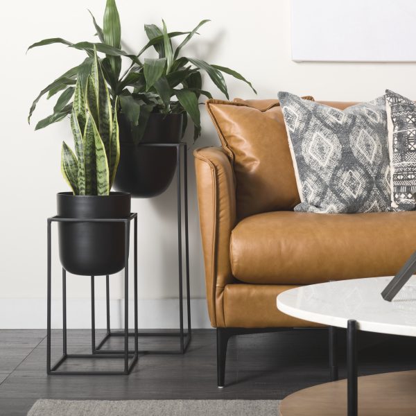 Bumble Set of 2 12L x 12W x 32H Black Plant Stands 3
