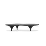COUPE Black Wood Veneer Coffee Table with Birch Legs 7 COUPE Black Wood Veneer Coffee Table with Birch Legs
