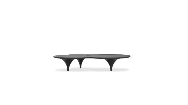 COUPE Black Wood Veneer Coffee Table with Birch Legs 1
