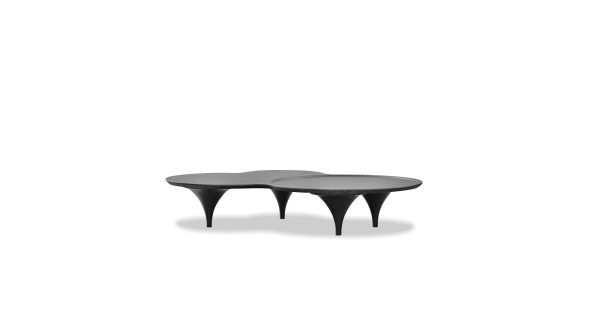 COUPE Black Wood Veneer Coffee Table with Birch Legs