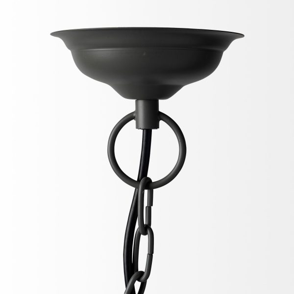 Camila 40x31 Black Metal Mesh Style Four Bulb Chandelier 3