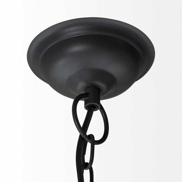Camila 40x31 Black Metal Mesh Style Four Bulb Chandelier 4