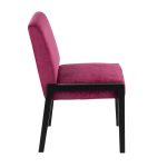 Carmen Black Wood Hot Pink Velvet Contemporary Chairs (Set of 2) 13 Carmen Black Wood Hot Pink Velvet Contemporary Chairs (Set of 2)