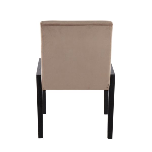 Carmen Black Wood Velvet Contemporary Chairs Set of 2 5